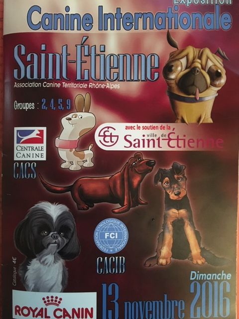 Des Crocs De La Chenaie - EXPOSITION CANINE INTERNATIONALE DE SAINT ETIENNE 2016